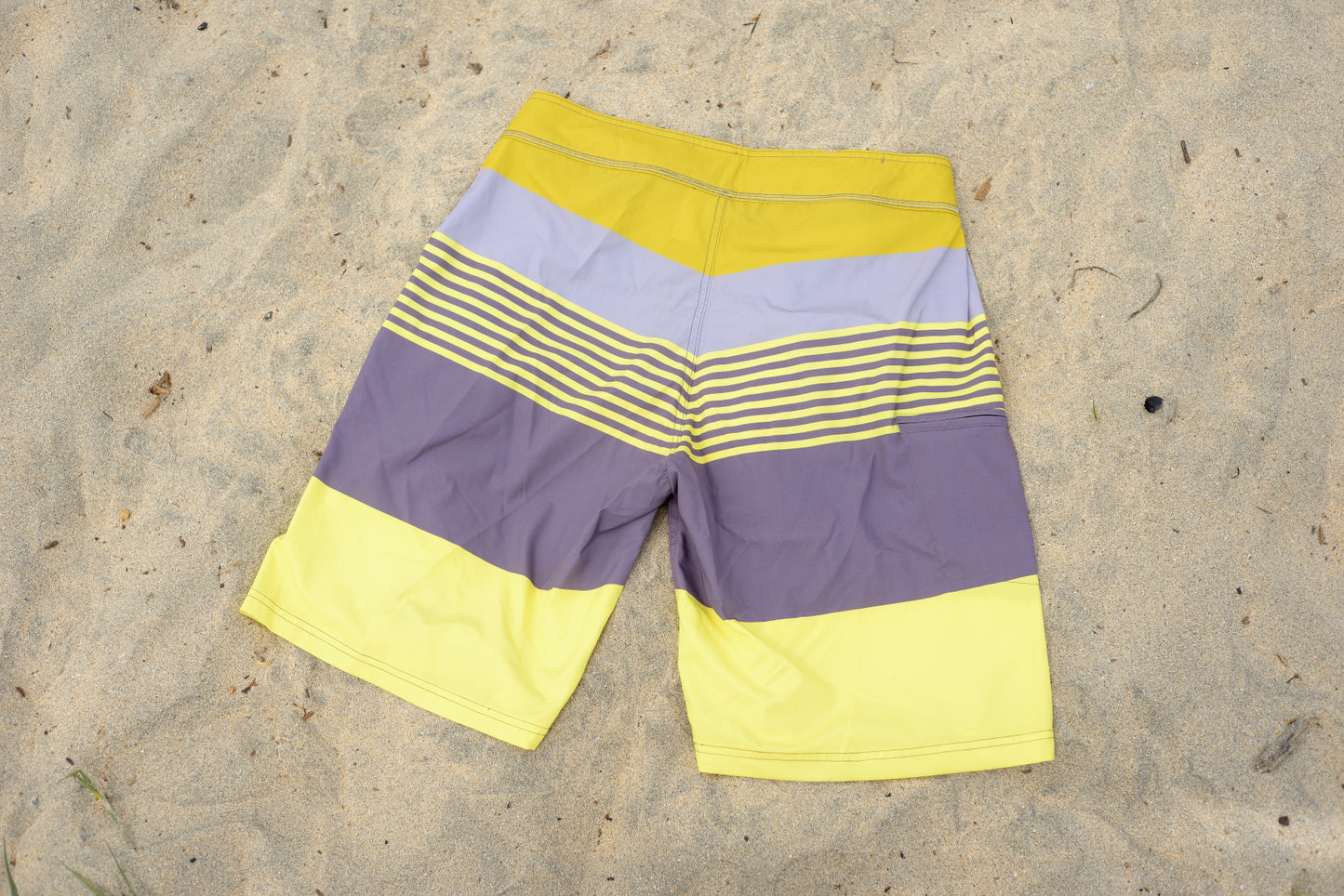 Boardshort The Dodo 21"